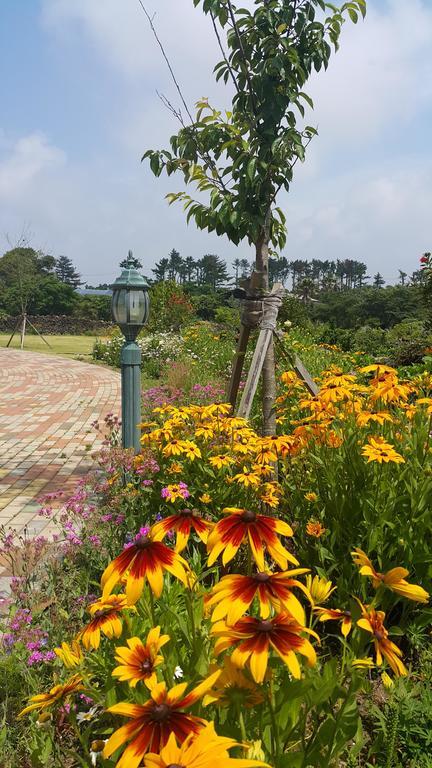 Baghdad House Villa Jeju by Eksteriør bilde