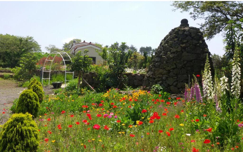 Baghdad House Villa Jeju by Eksteriør bilde