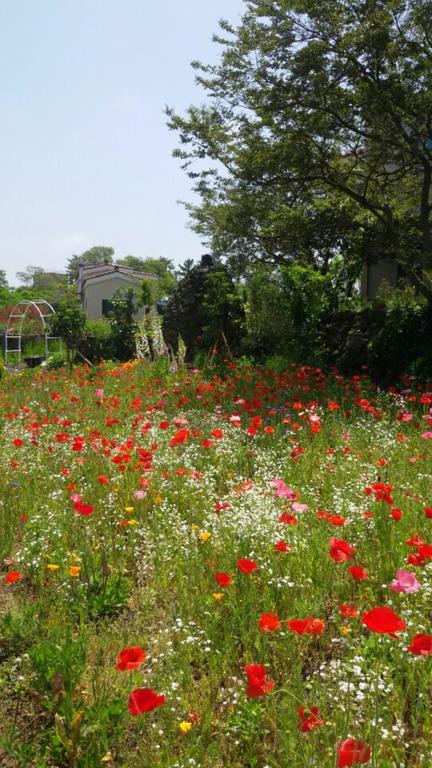 Baghdad House Villa Jeju by Eksteriør bilde