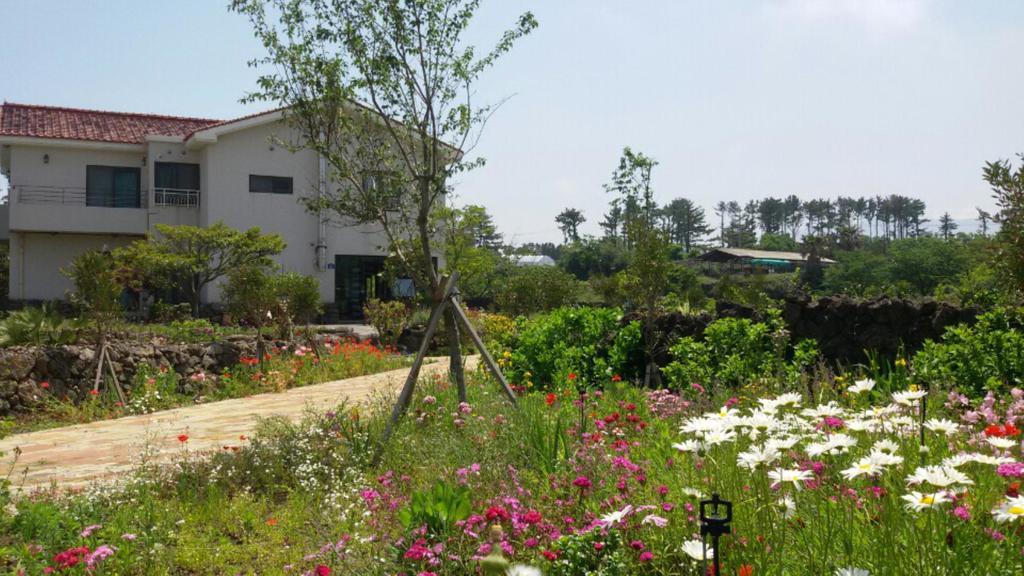 Baghdad House Villa Jeju by Eksteriør bilde