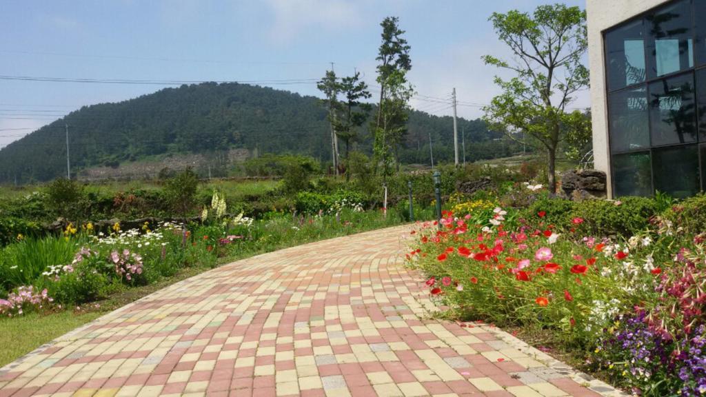 Baghdad House Villa Jeju by Eksteriør bilde