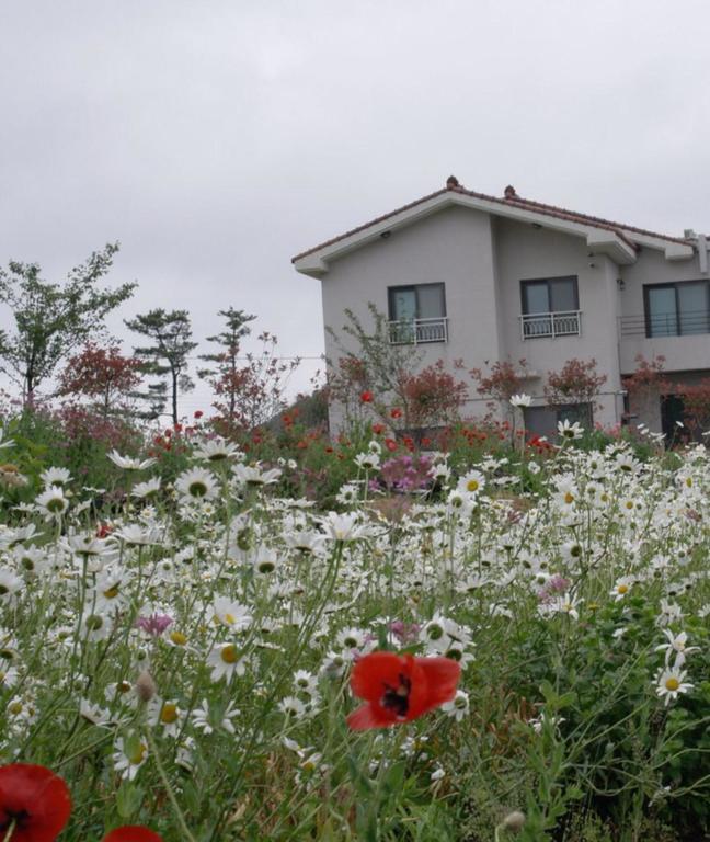 Baghdad House Villa Jeju by Eksteriør bilde